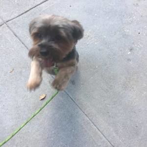 Meet your Posher, Kalyn